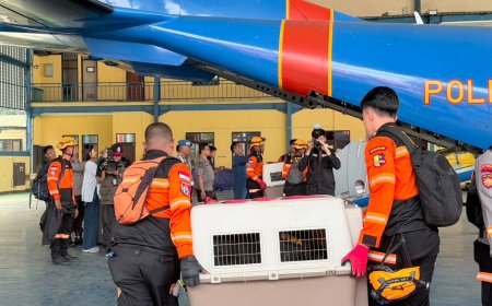 Terbang dengan Pesawat Khusus, Polri Kerahkan 10 K9 SAR Berpengalaman ke Flores, Misi Pencarian Korban